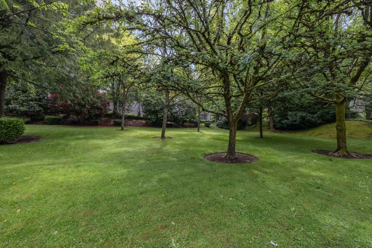 Listing Image 39