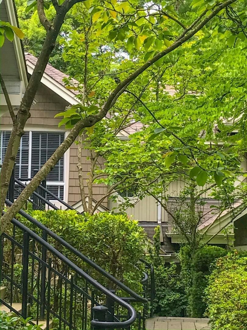 Listing Image 34
