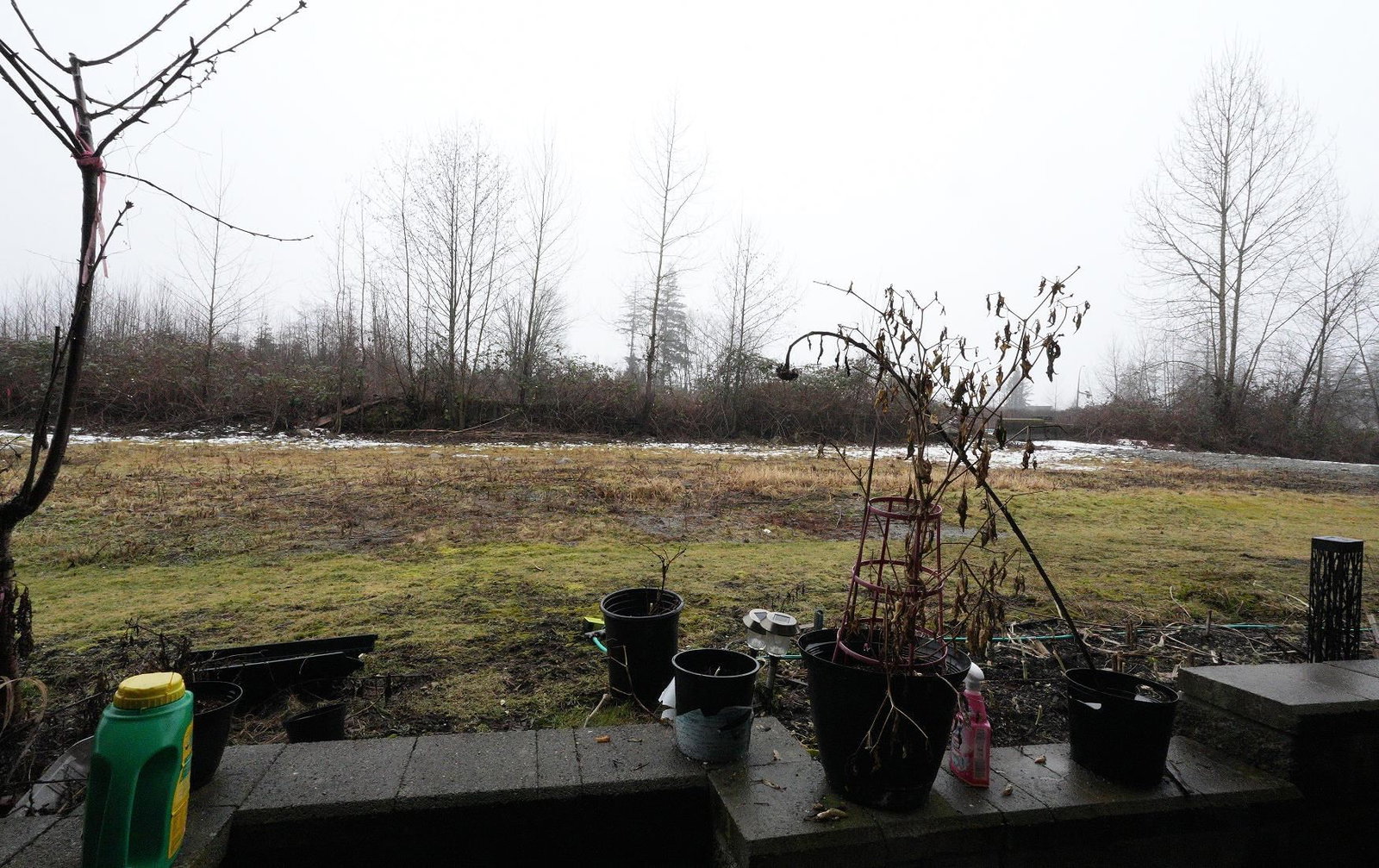 Listing Image 17