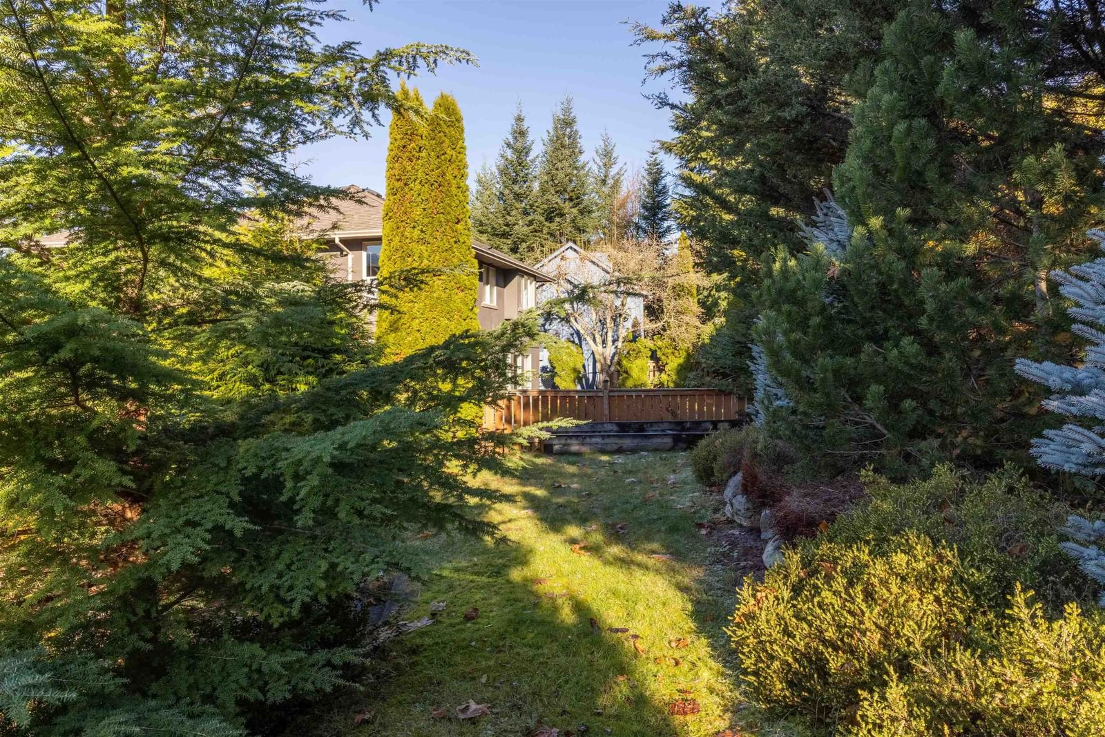 Listing Image 37