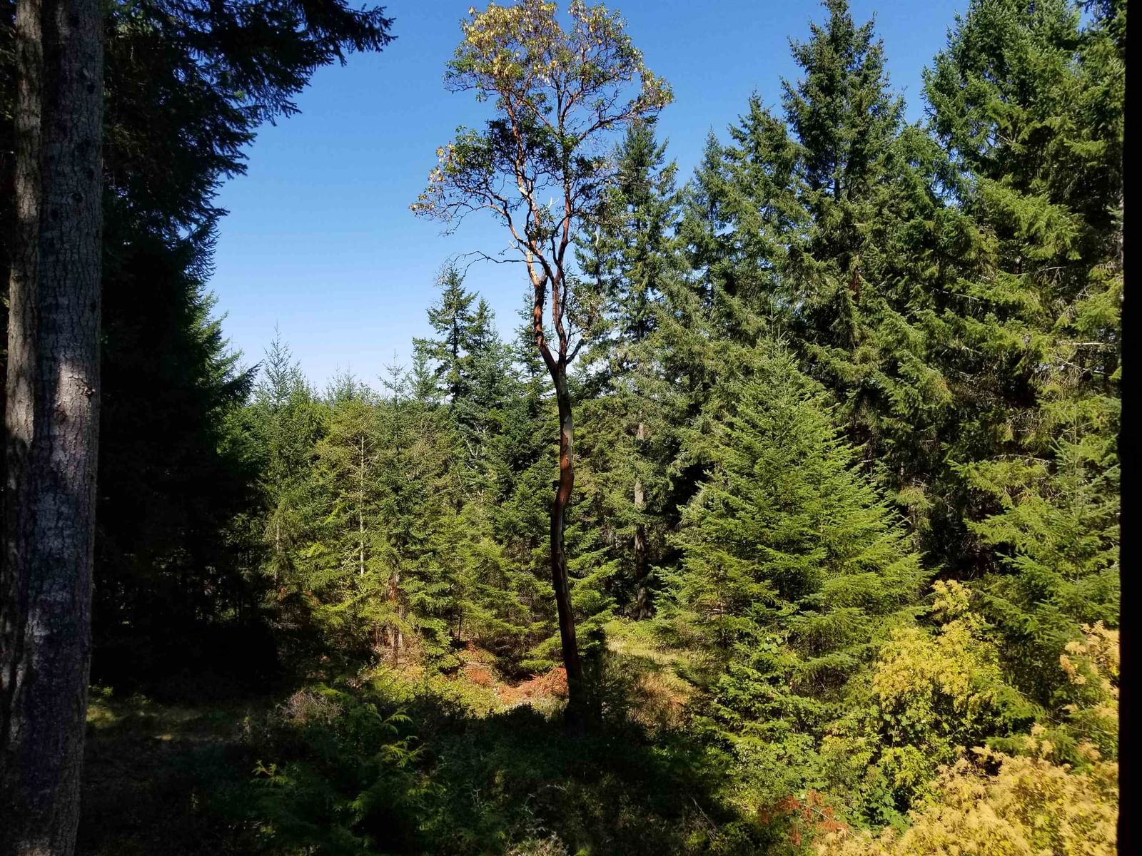 Listing Image 33