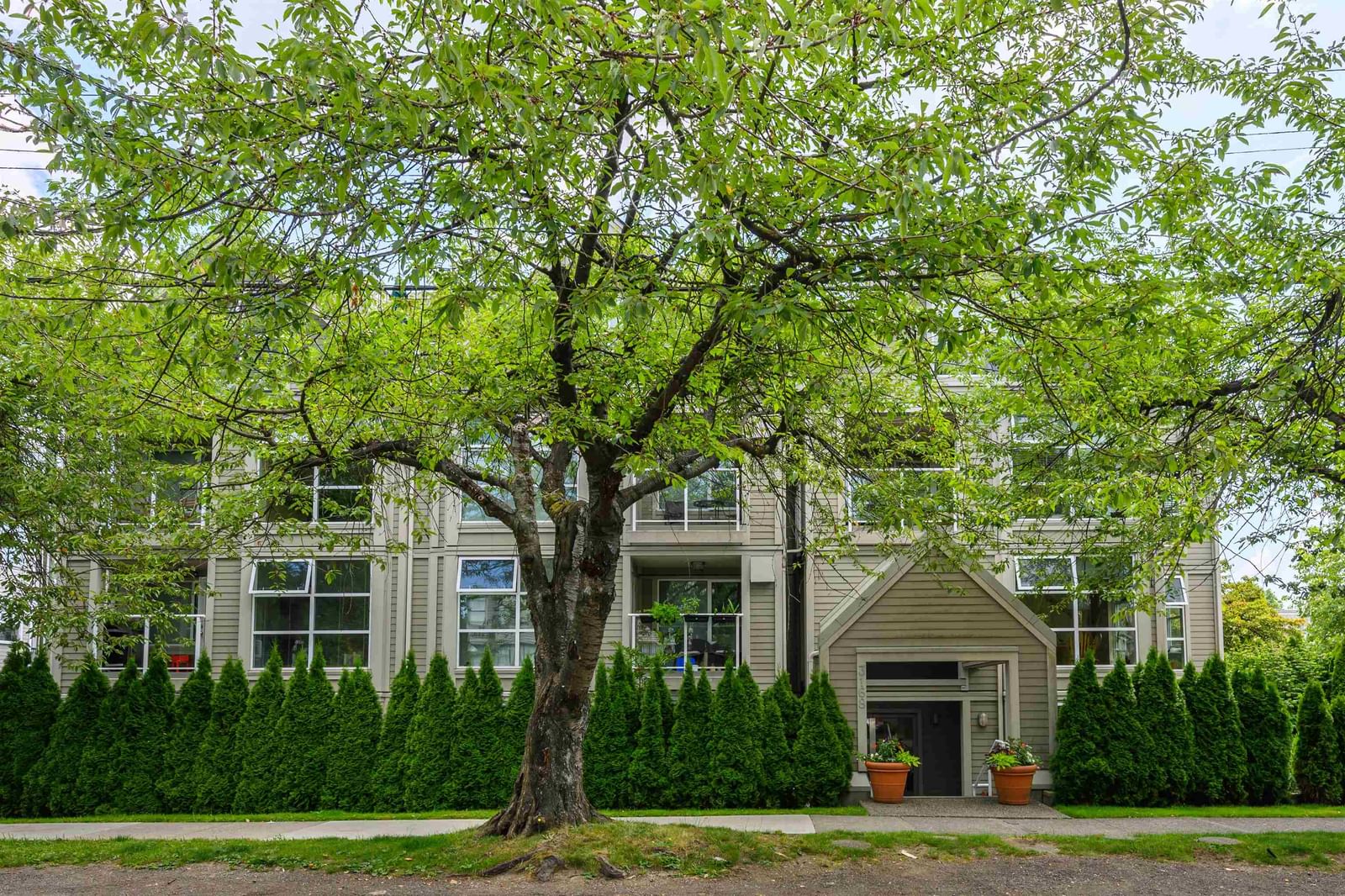 Listing Image 20