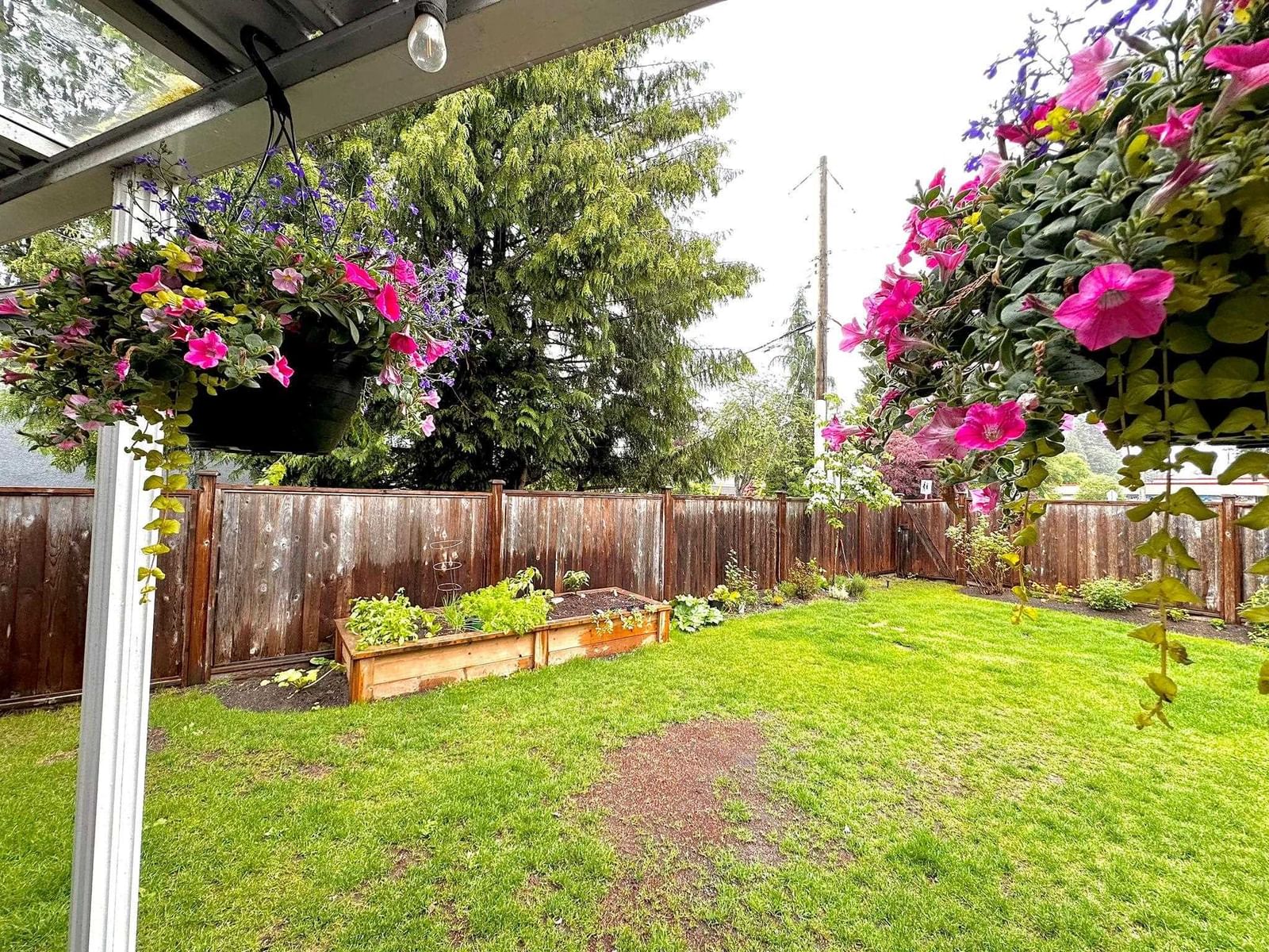 Listing Image 29