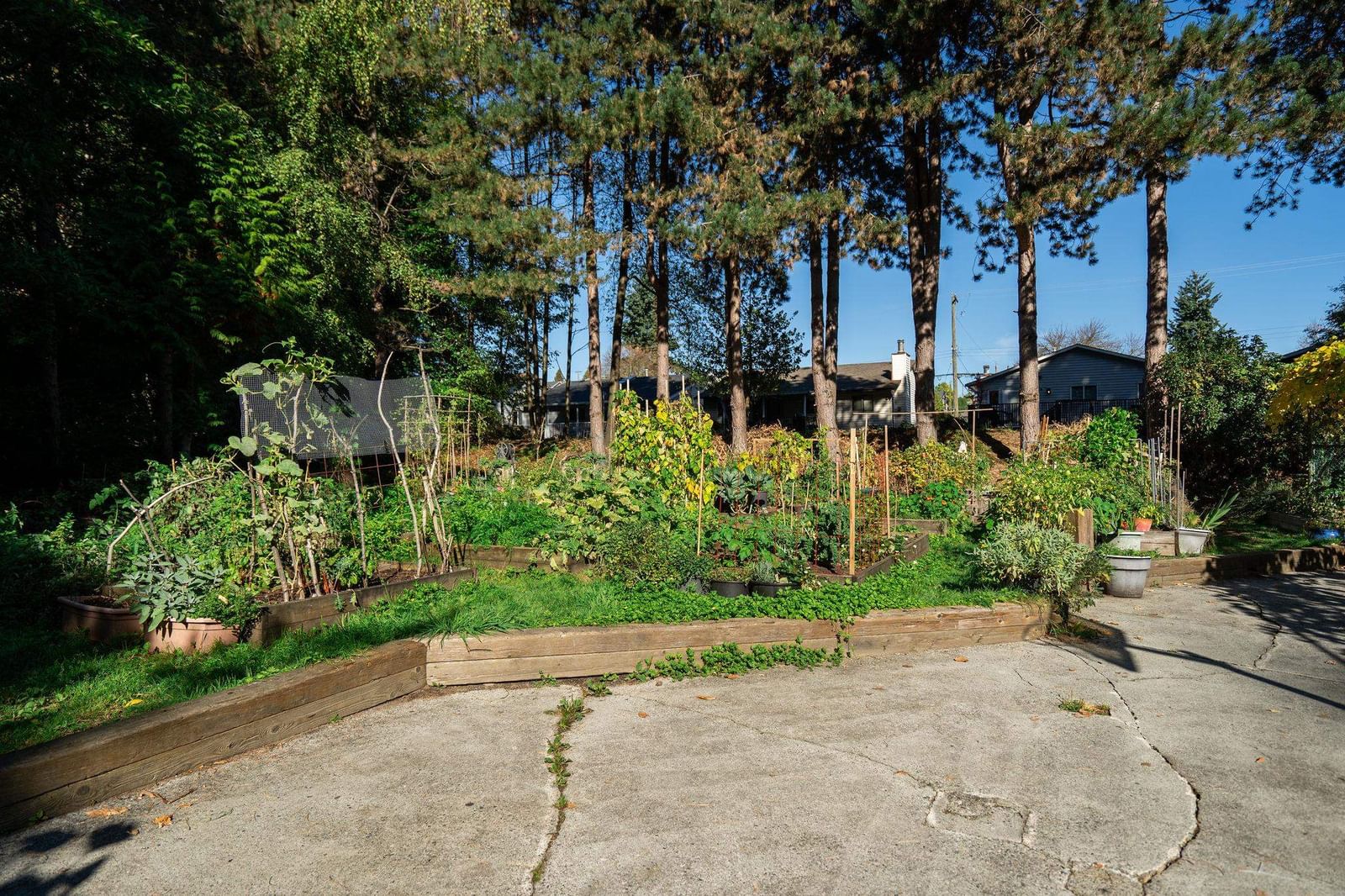 Listing Image 25