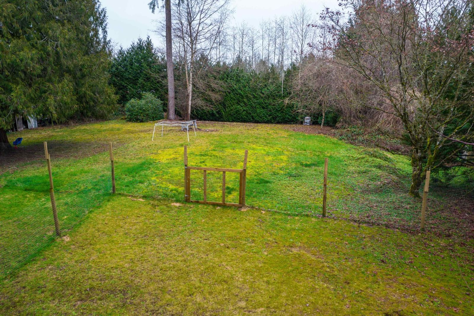 Listing Image 31