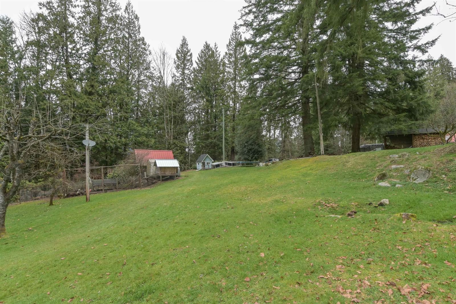 Listing Image 6