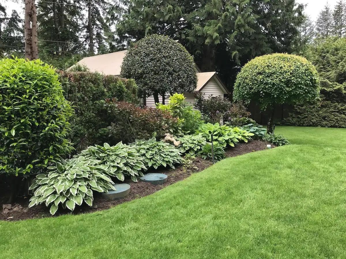 Listing Image 39