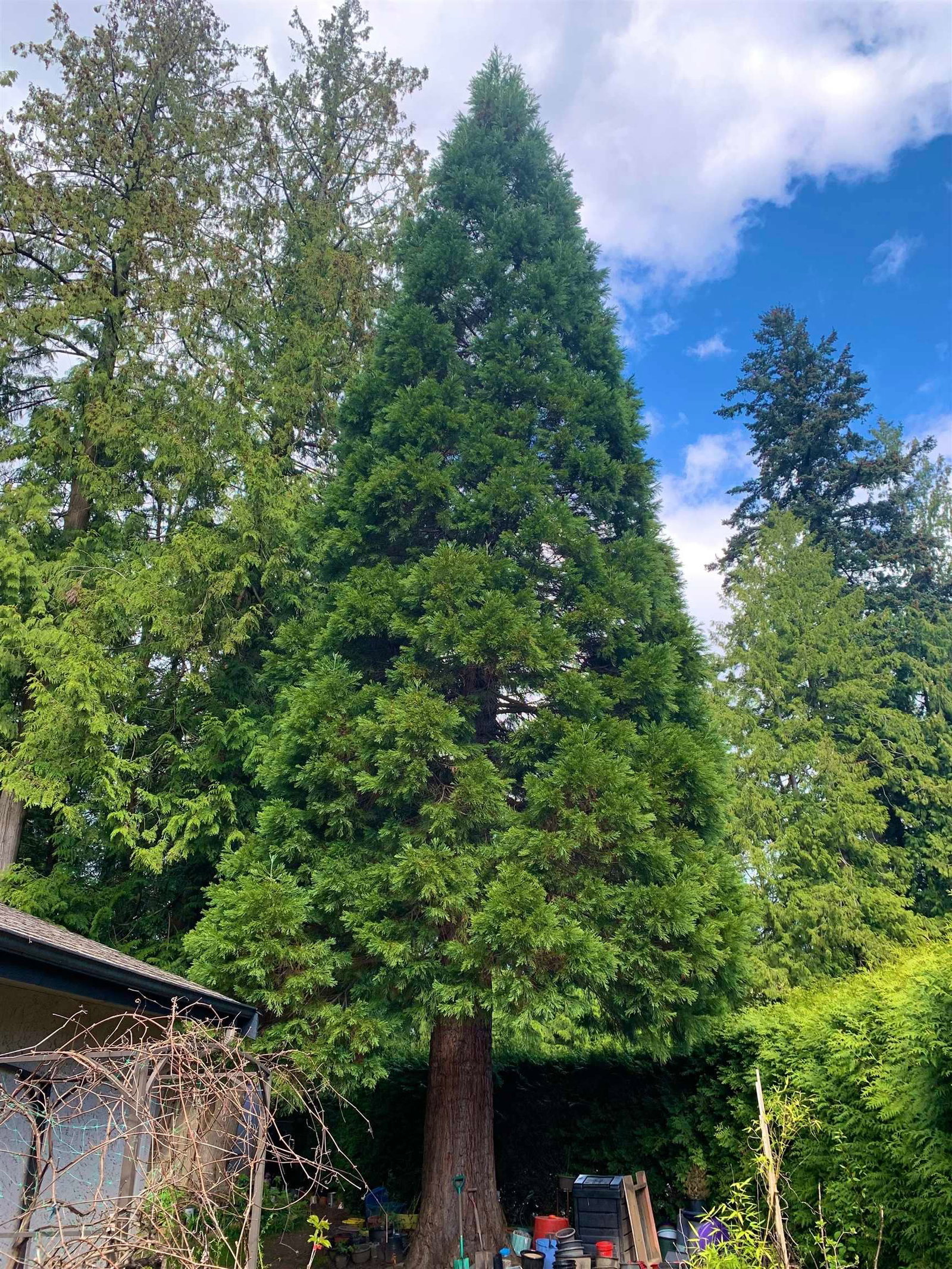 Listing Image 32
