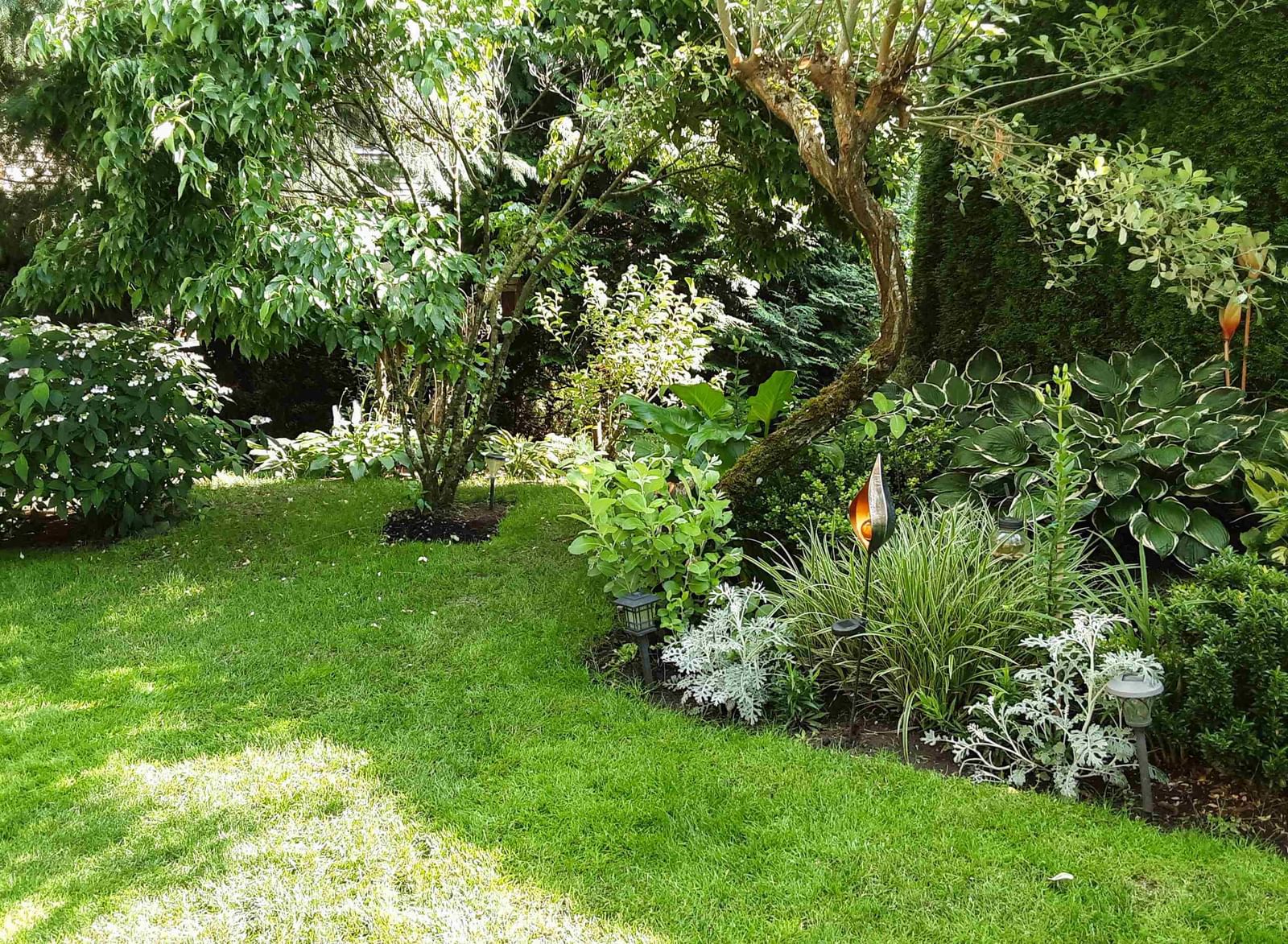 Listing Image 37