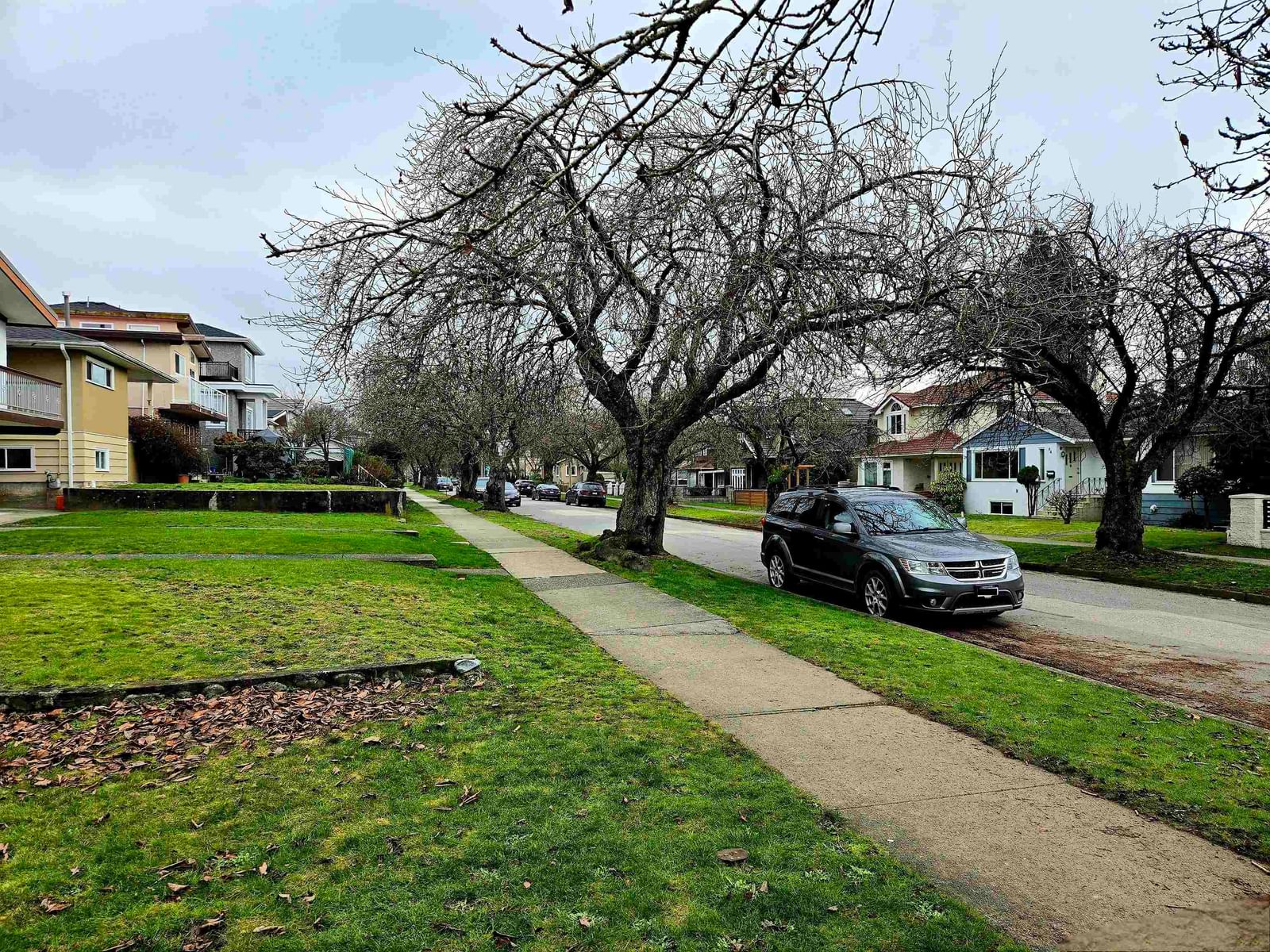 Listing Image 3