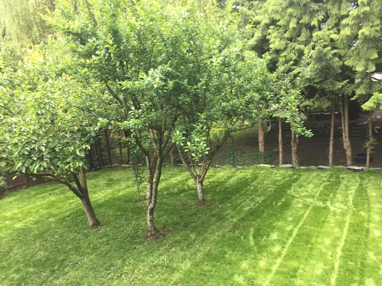 Listing Image 36