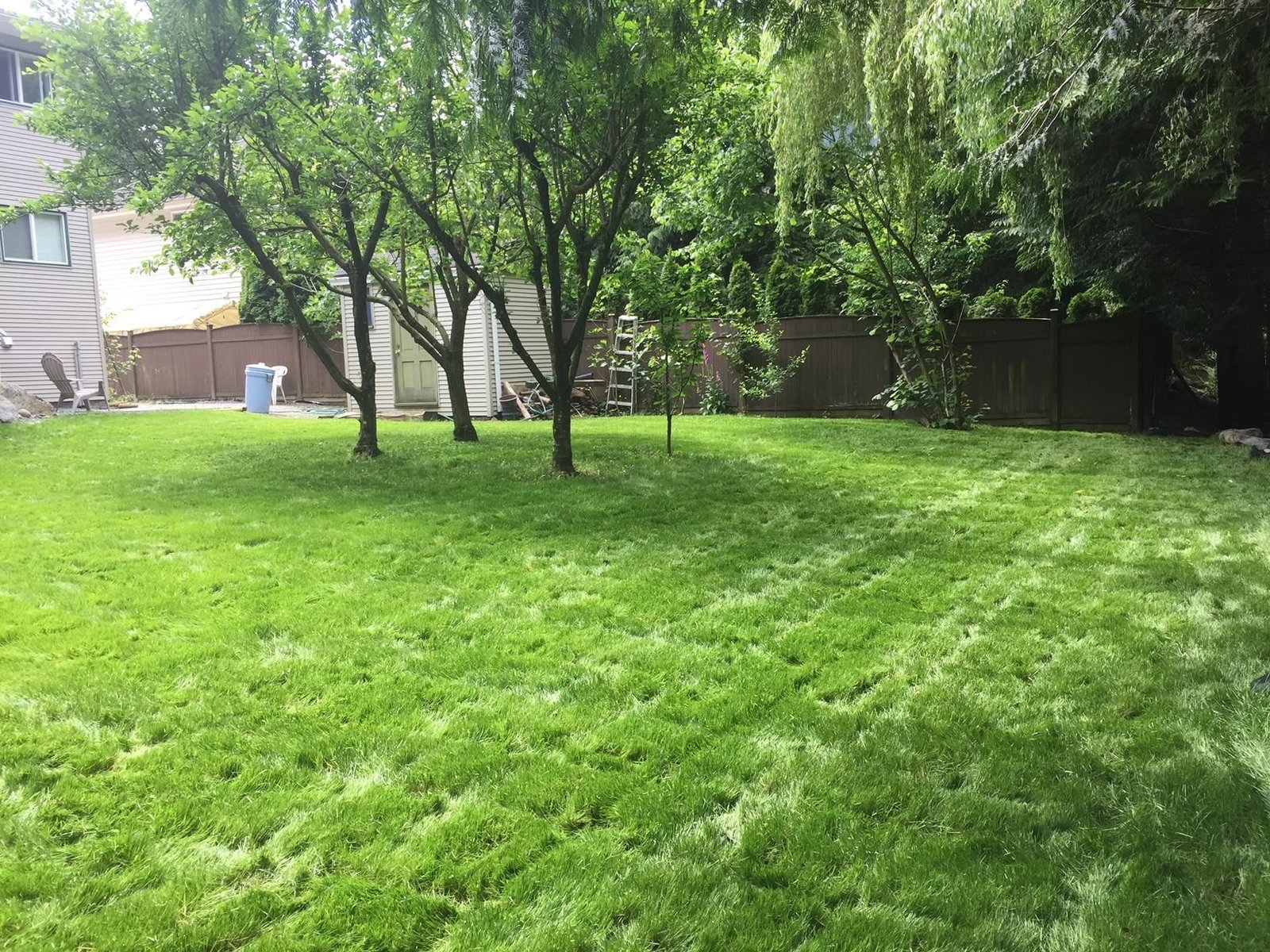 Listing Image 37