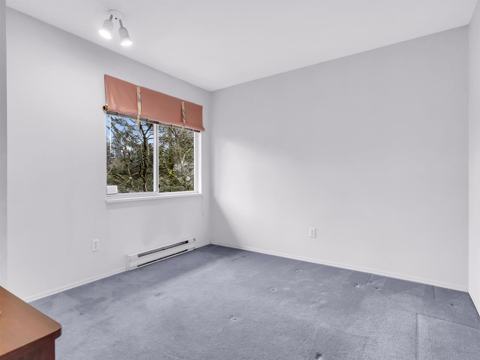 Listing Image 30