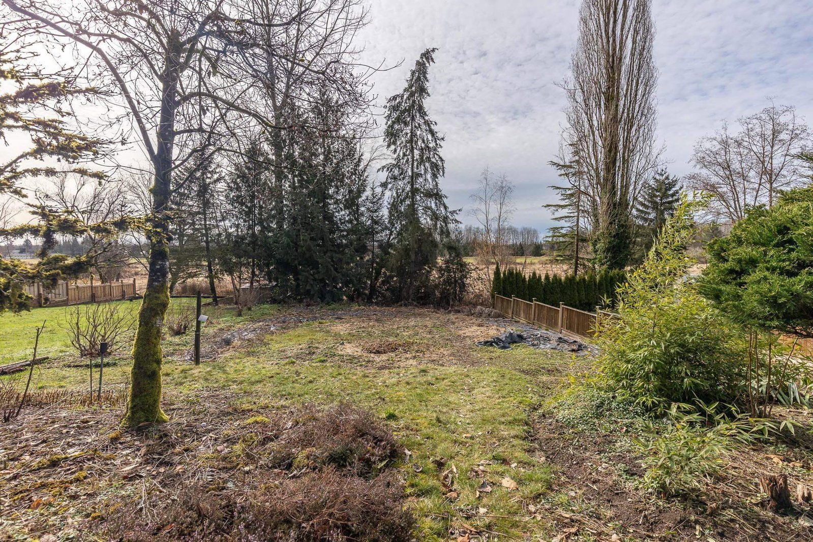 Listing Image 37