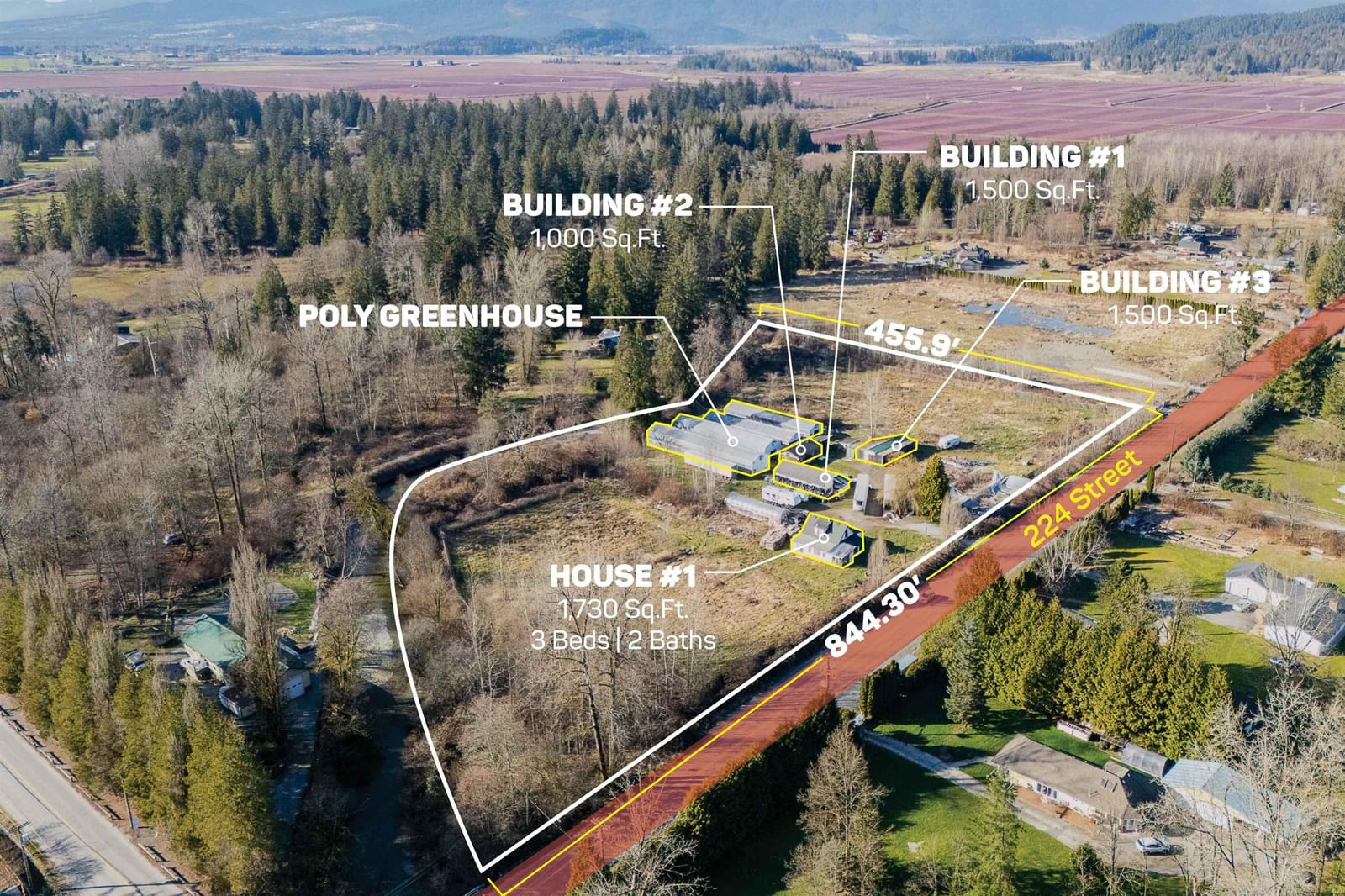 Listing Image 1