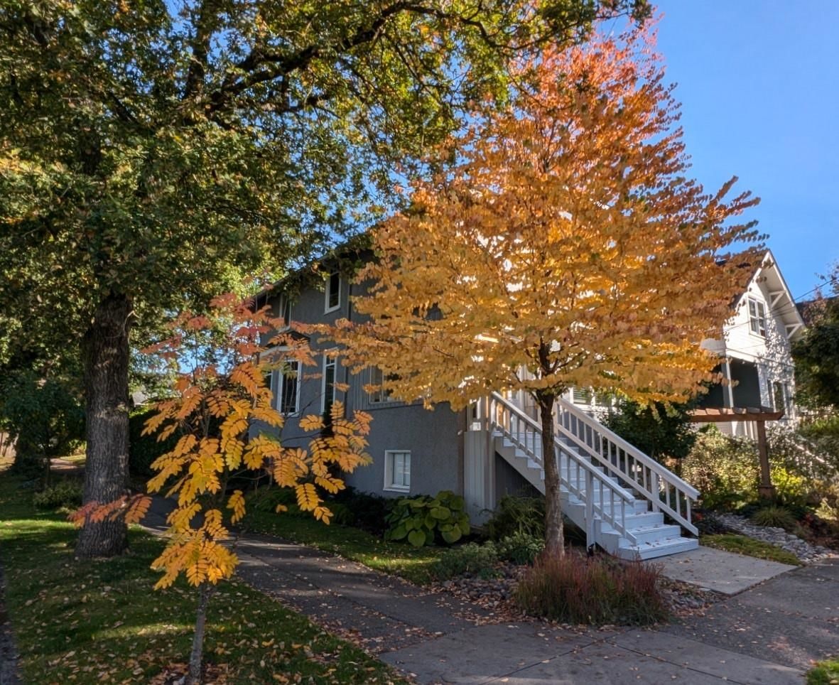 Listing Image 38