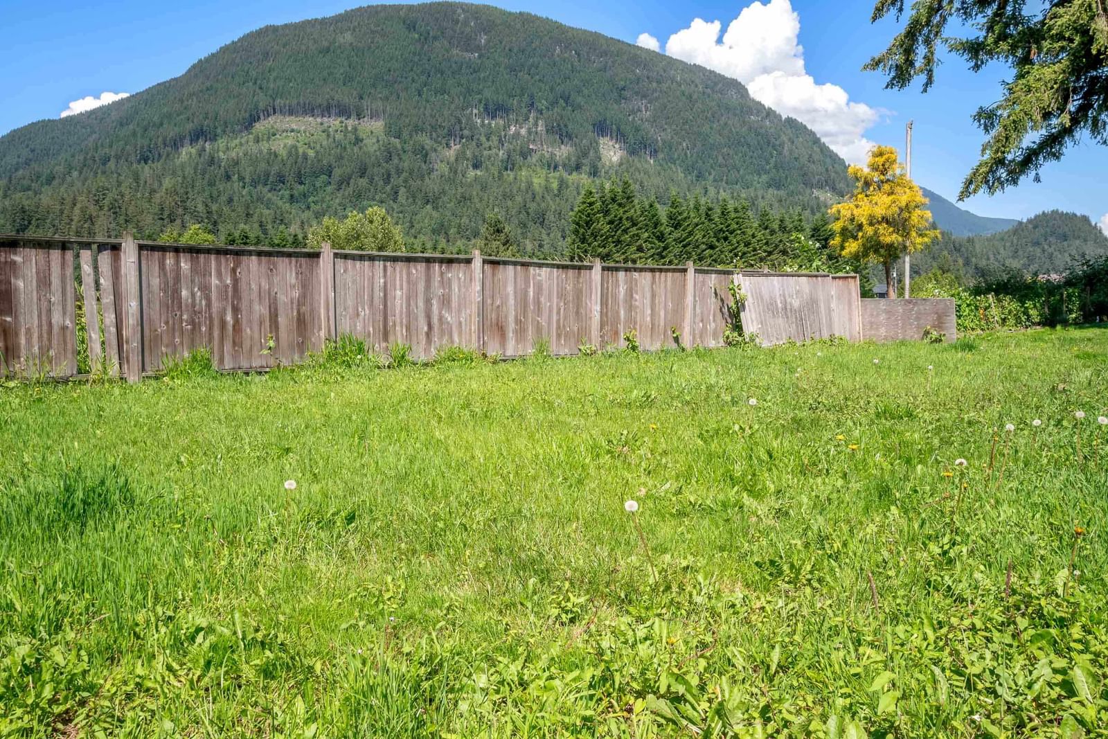 Listing Image 37