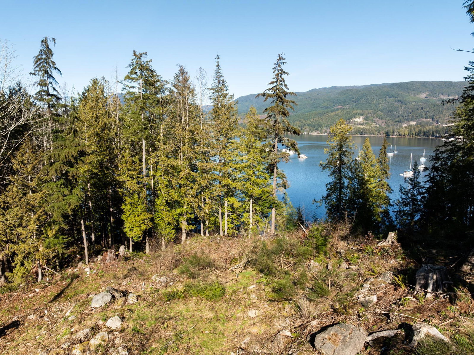 Listing Image 15