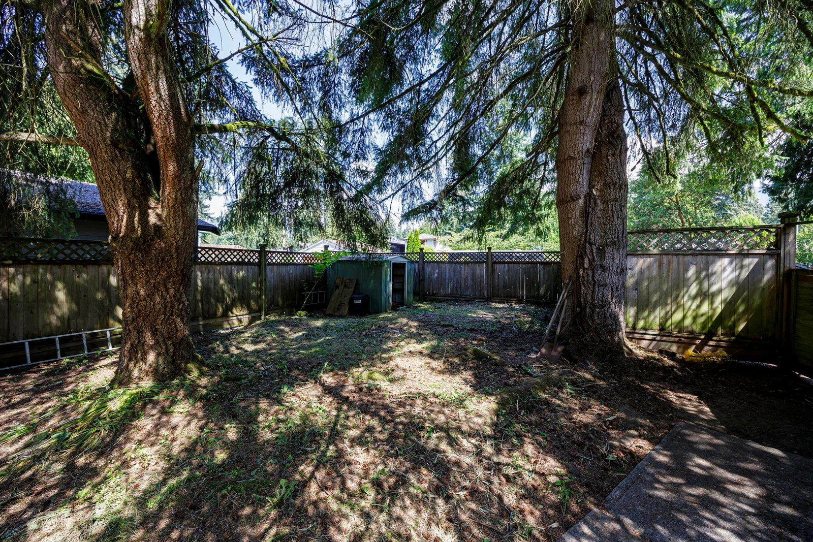 Listing Image 14