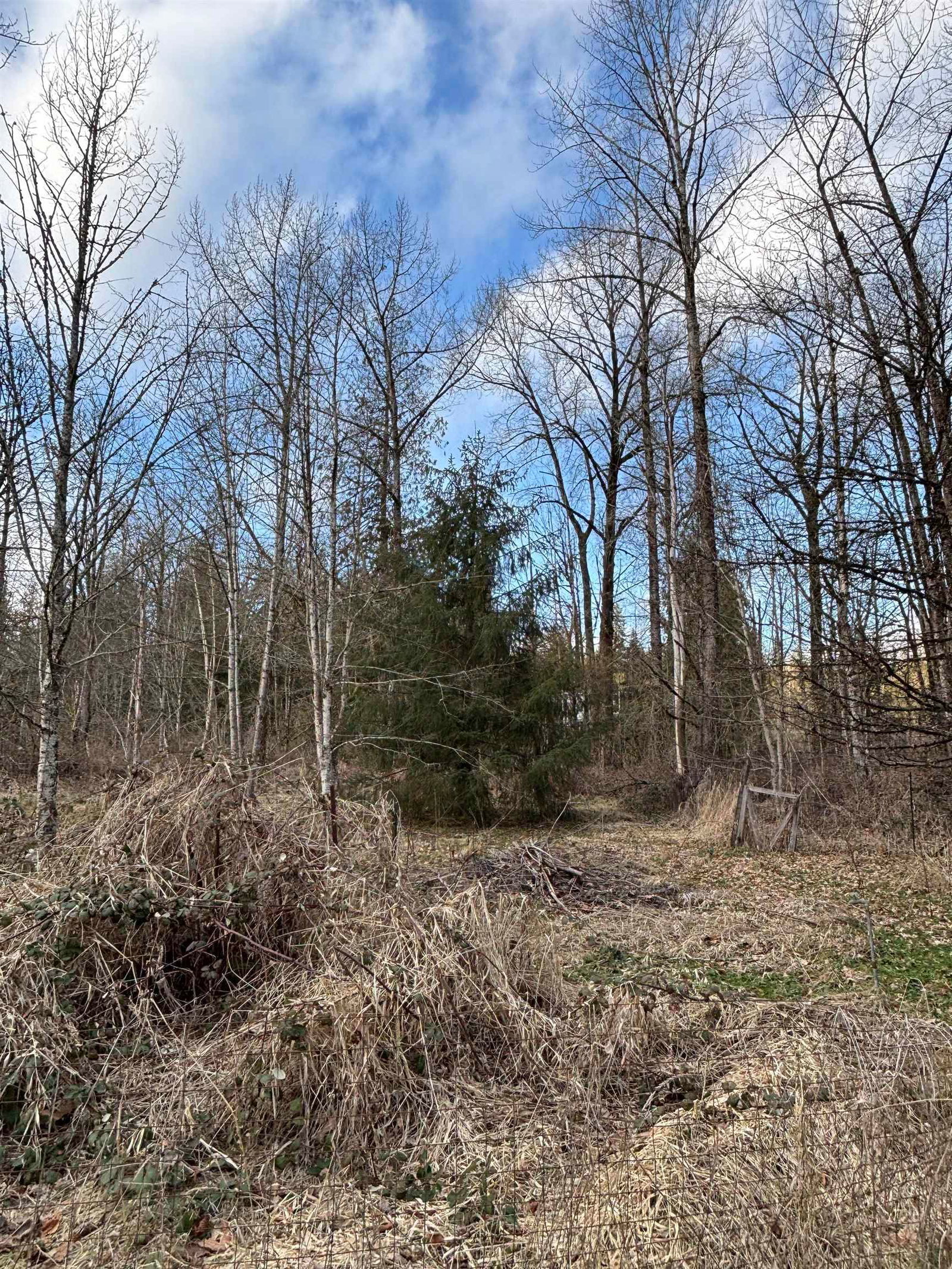 Listing Image 16