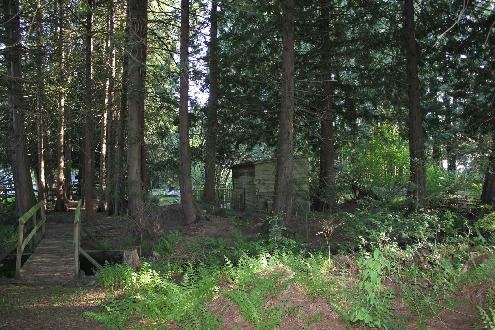 Listing Image 32
