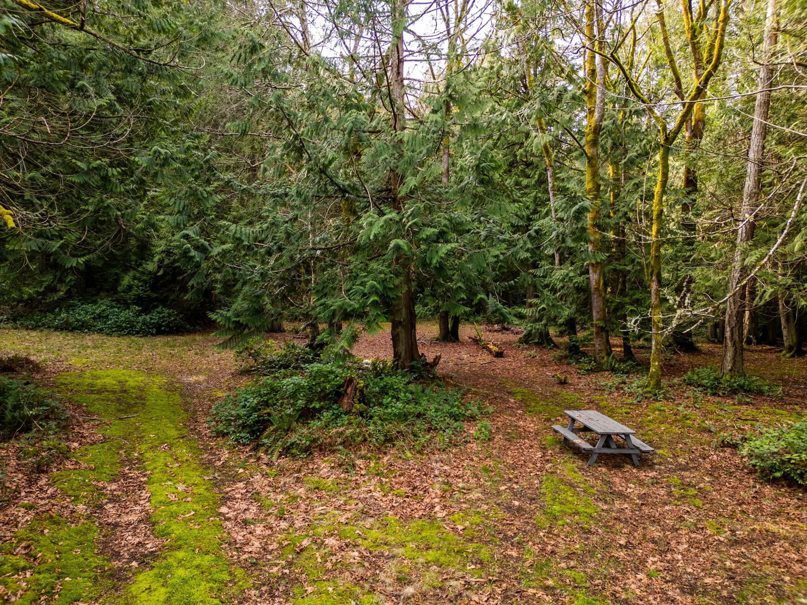 Listing Image 38
