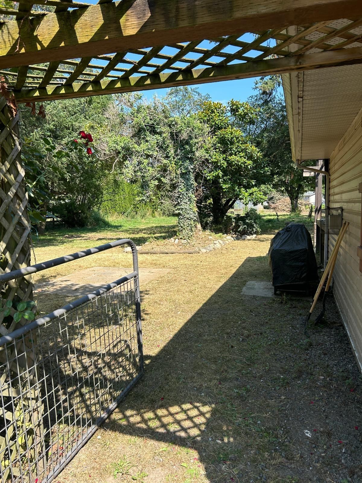 Listing Image 8