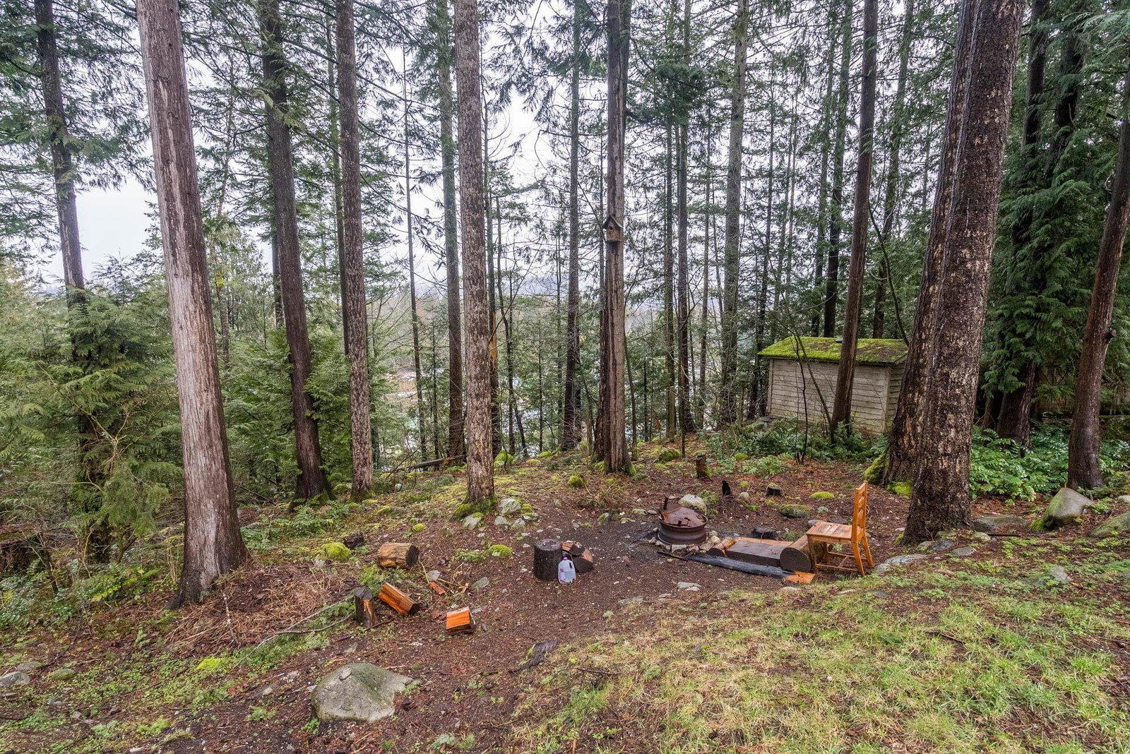Listing Image 36