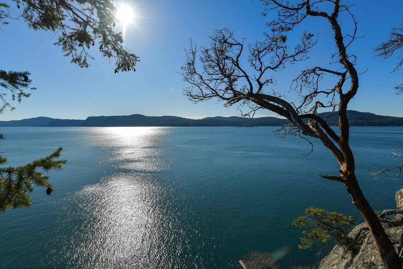 Lot A Beechwood Drive, Mayne Island, V0N 2J2 | Image 3