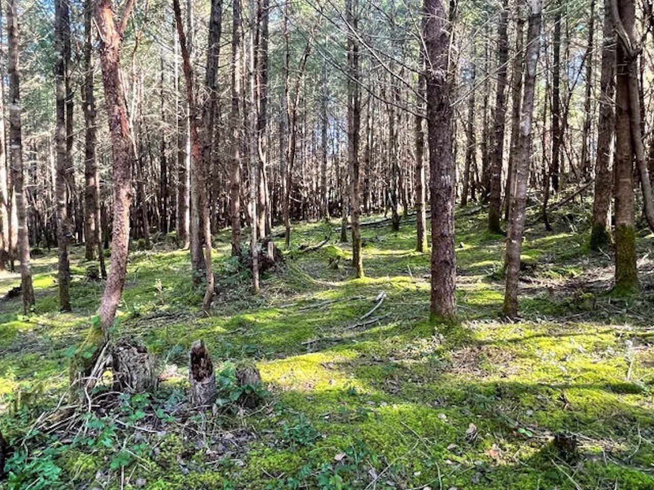 Listing Image 21