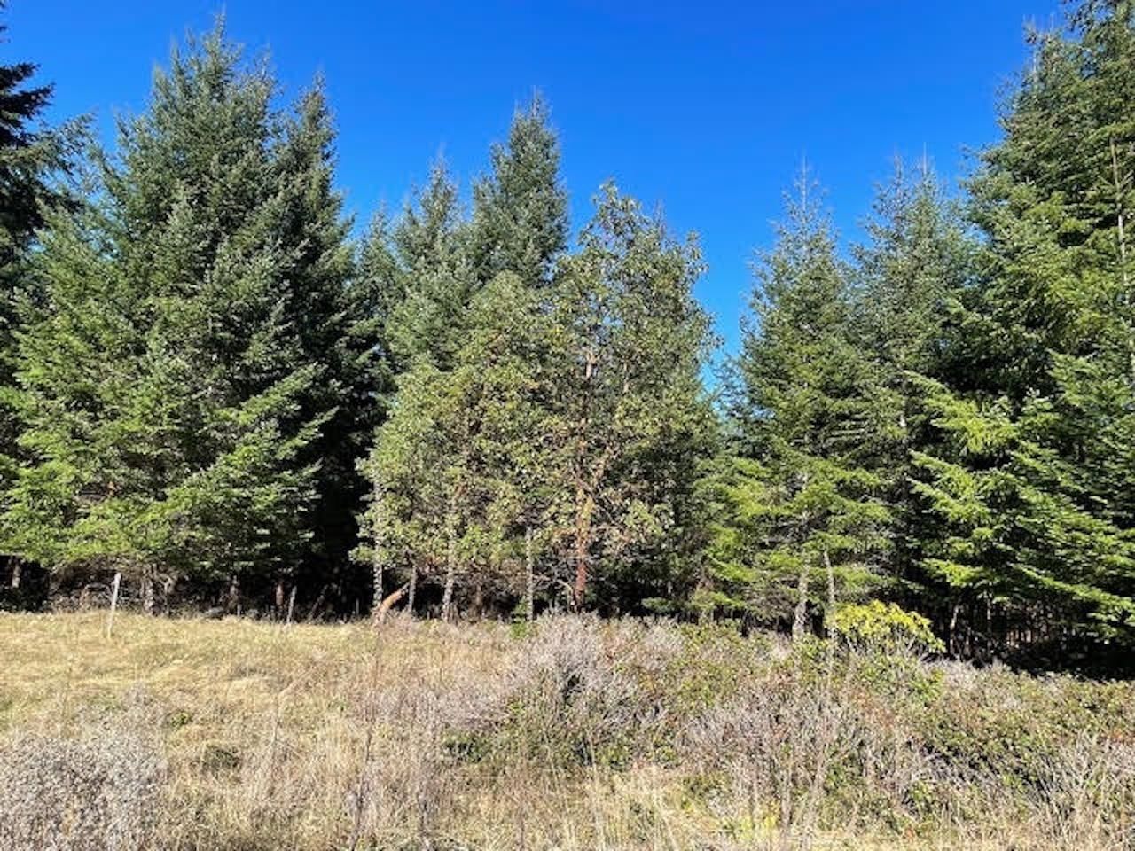 Listing Image 27