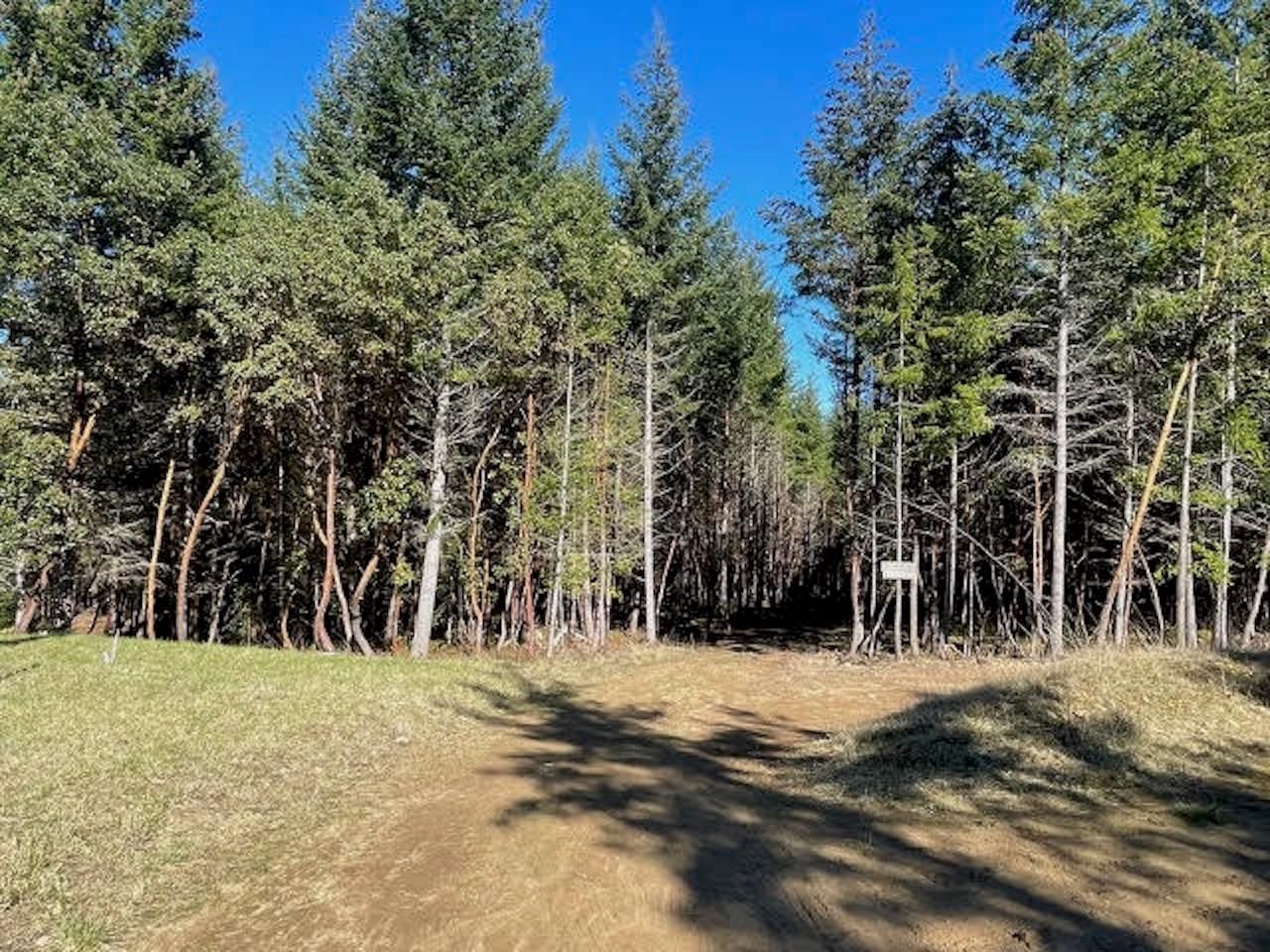 Listing Image 30