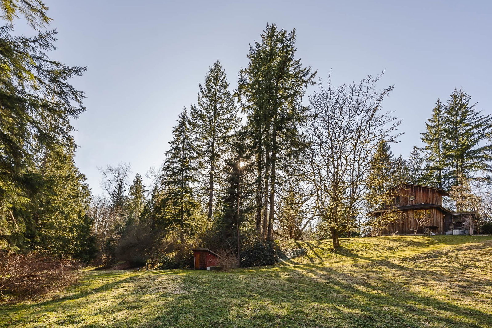 Listing Image 31