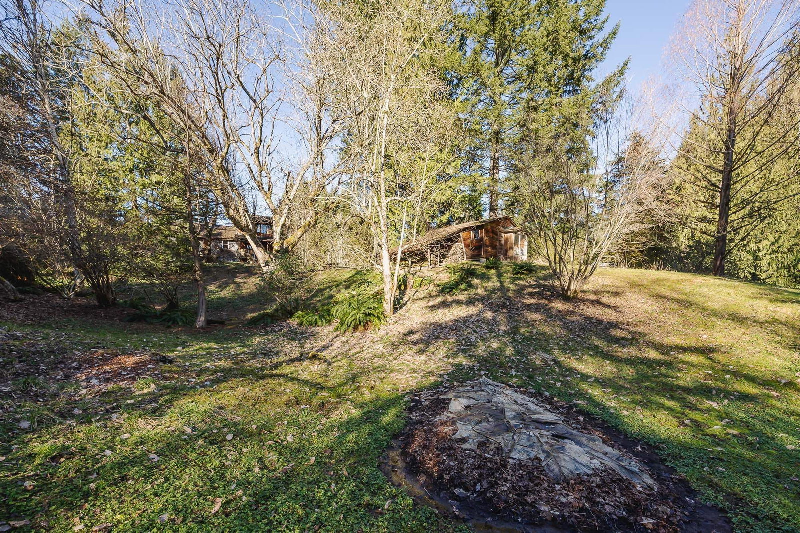 Listing Image 36