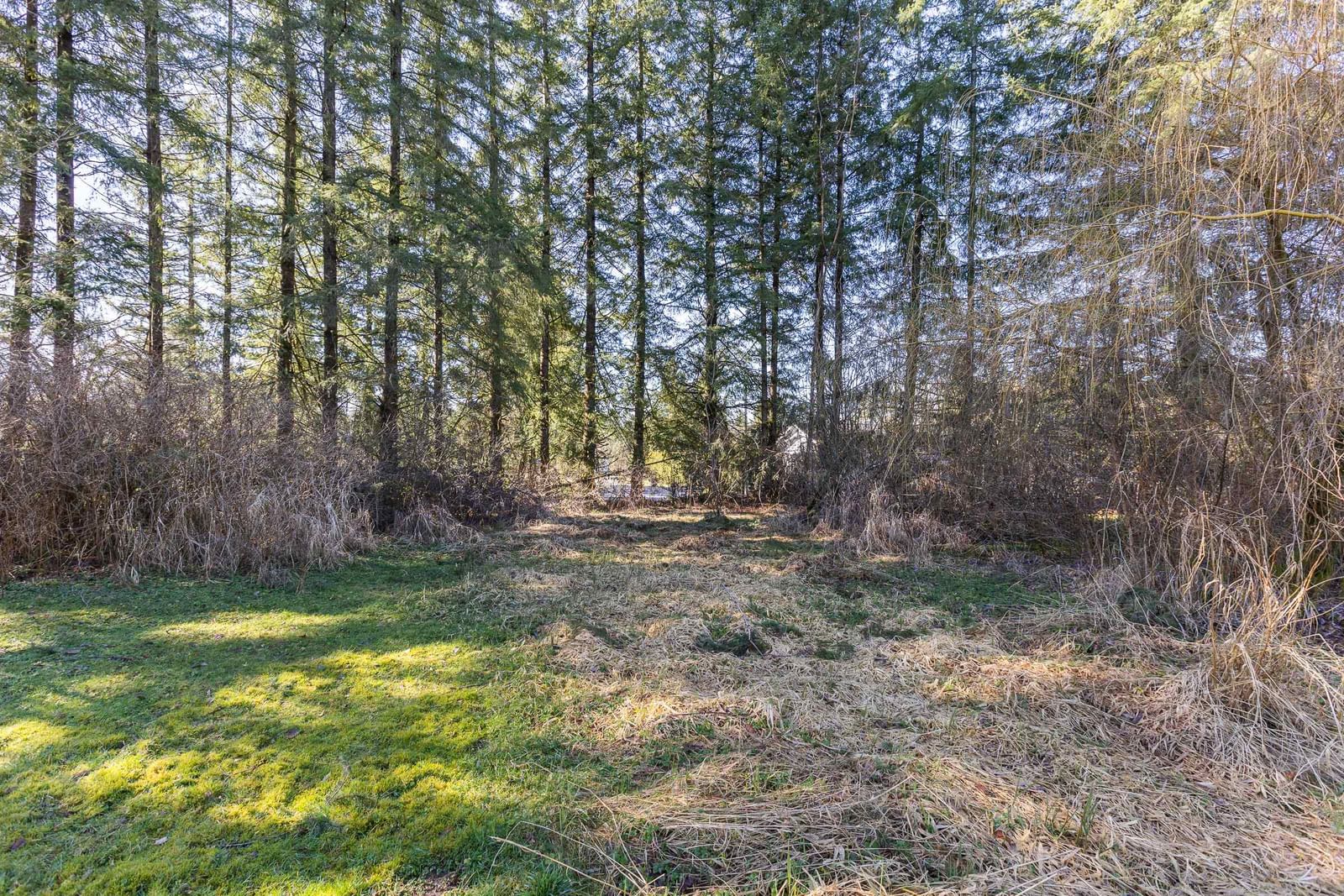 Listing Image 39