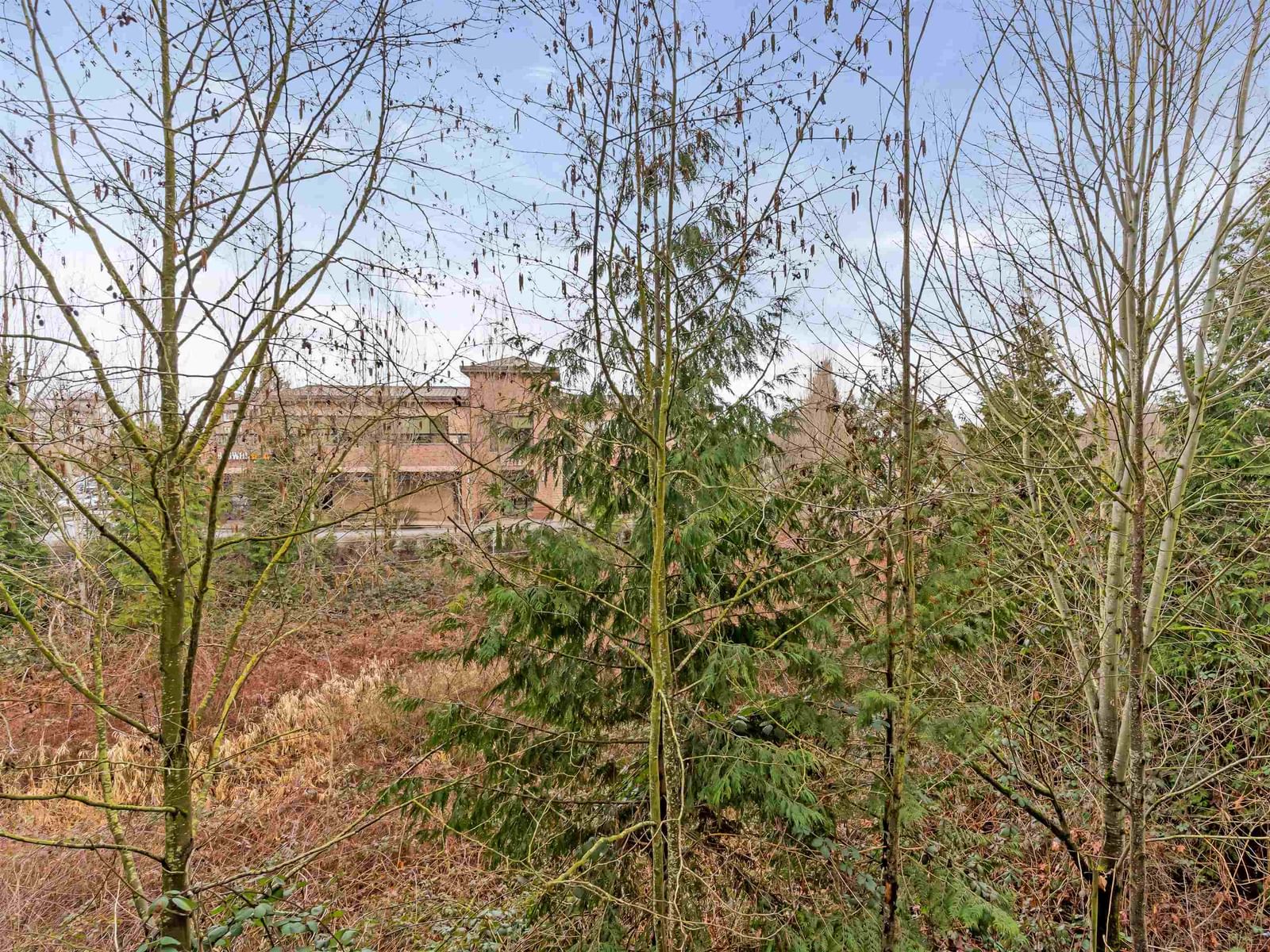 Listing Image 26