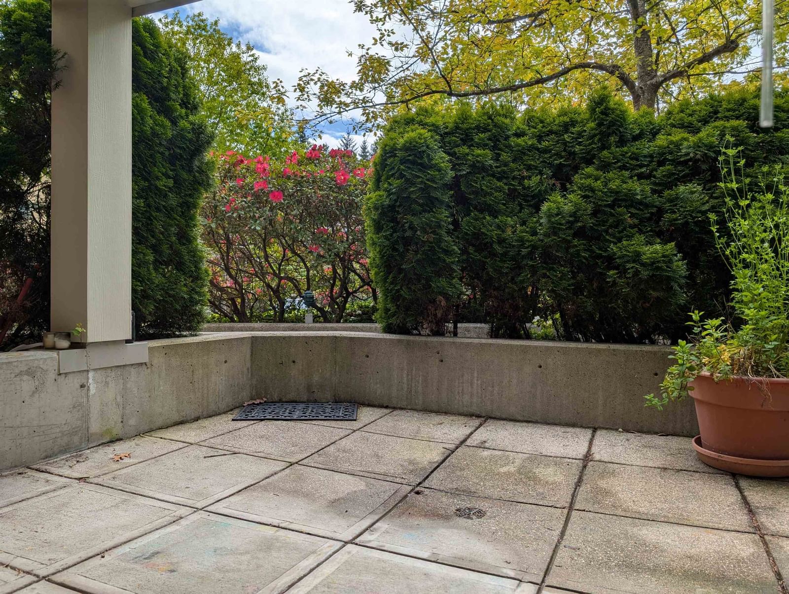 Listing Image 16