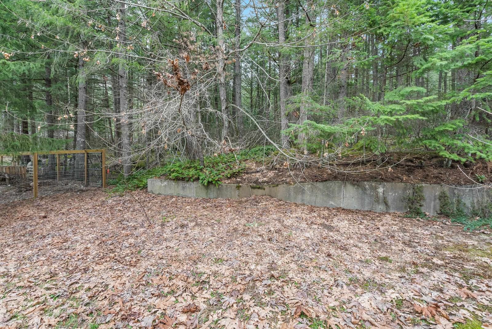 Listing Image 17