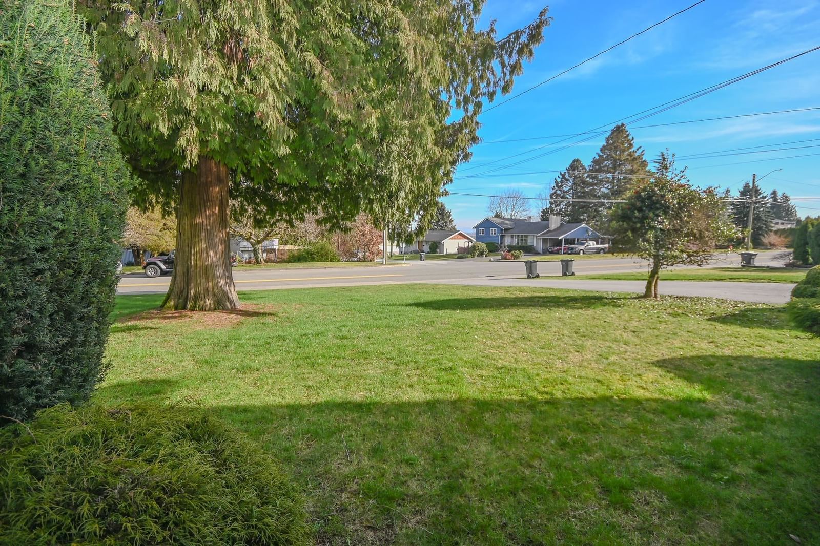 Listing Image 38