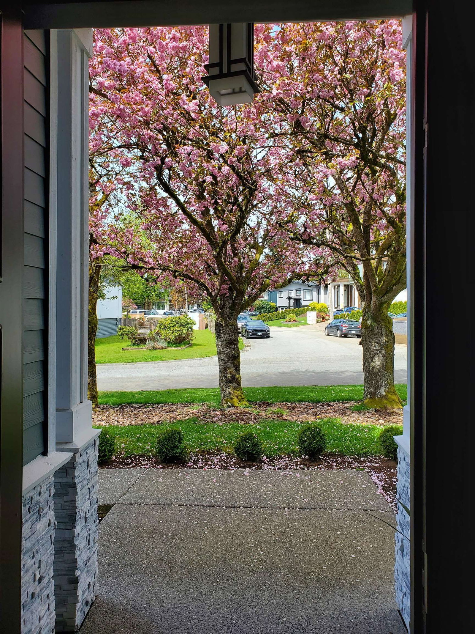 Listing Image 34