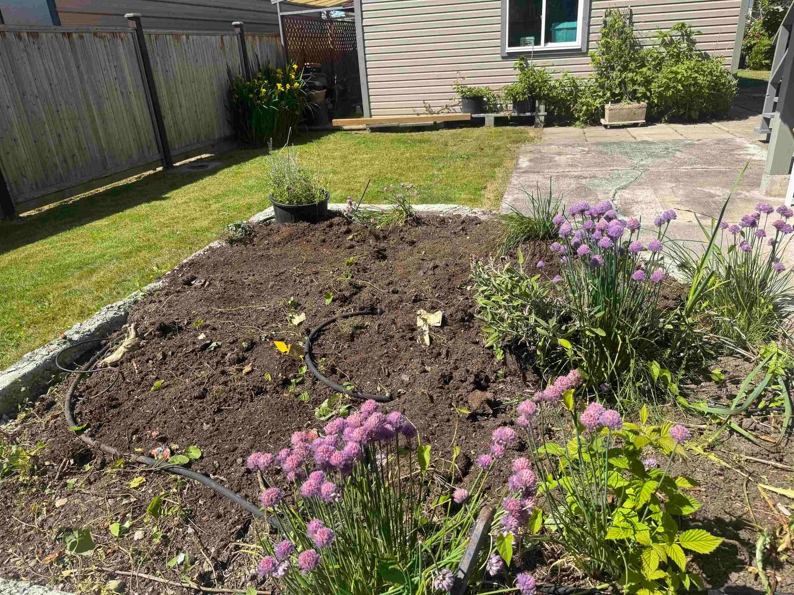 Listing Image 32