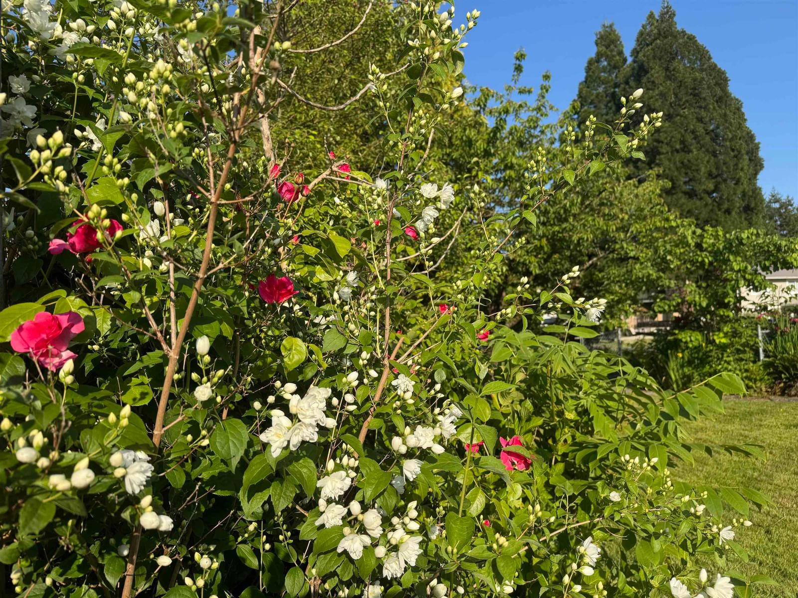 Listing Image 39