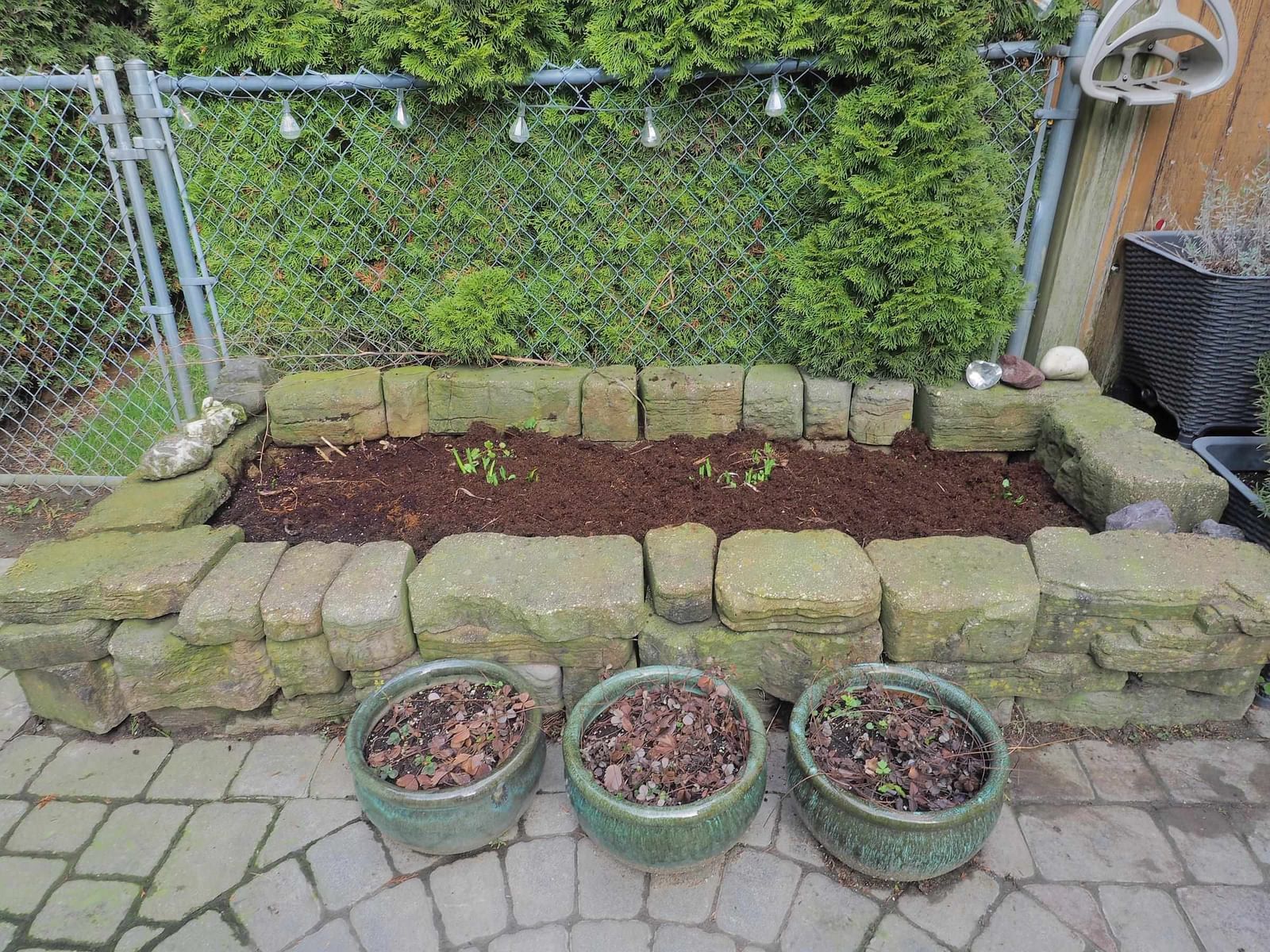 Listing Image 29