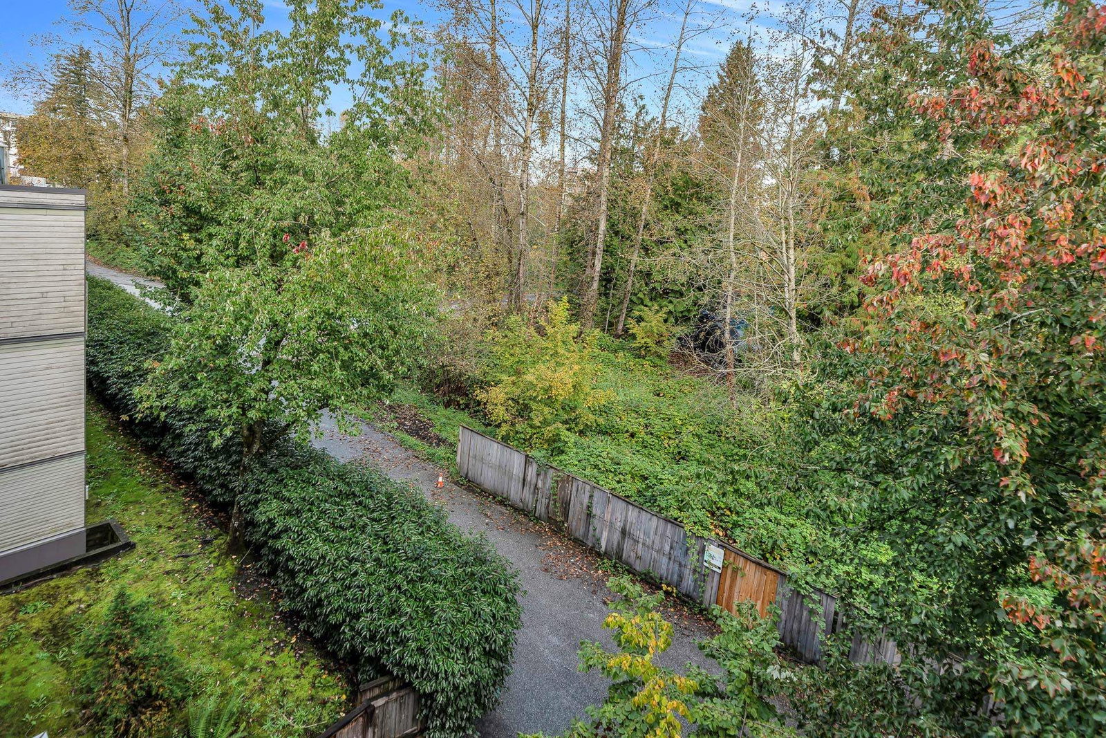 Listing Image 29