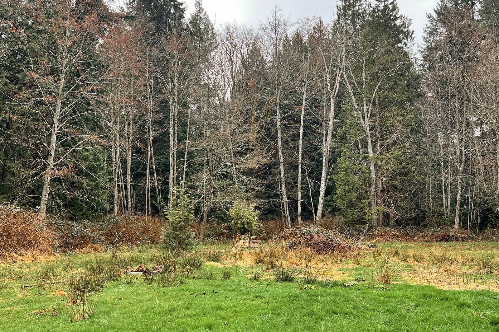 Listing Image 38