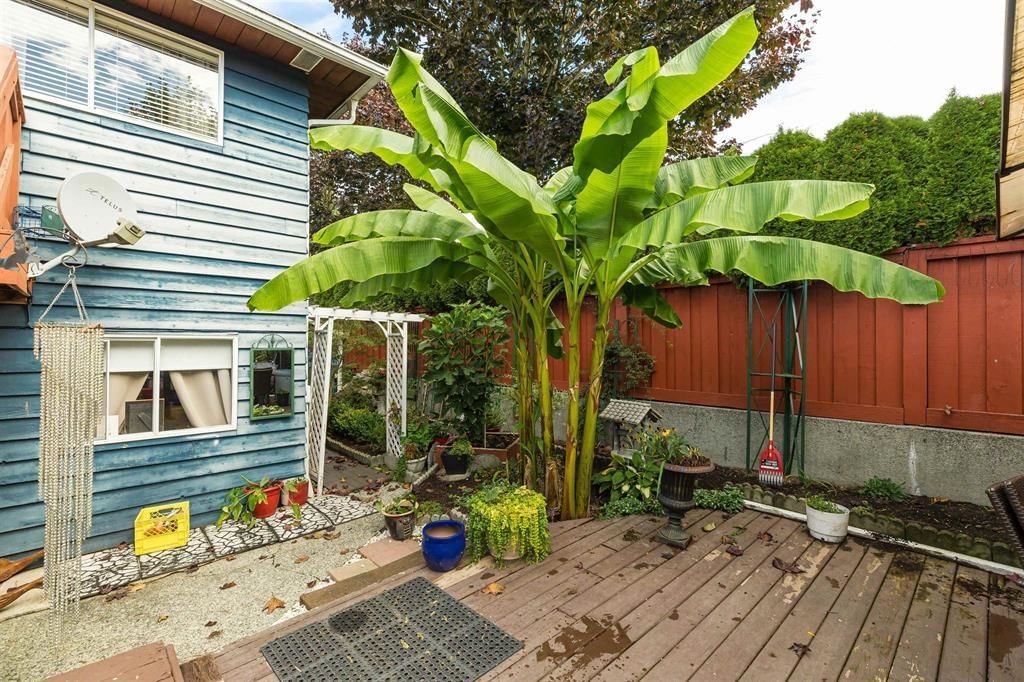 Listing Image 37