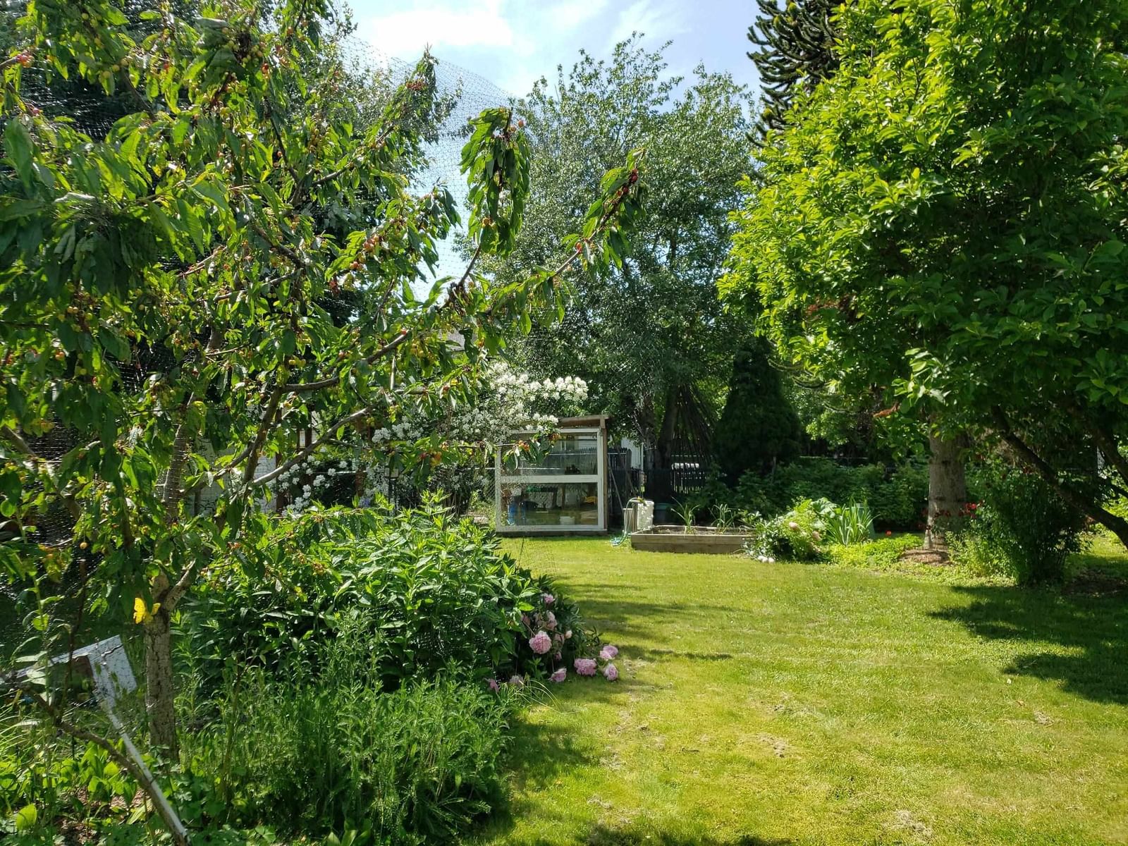 Listing Image 38