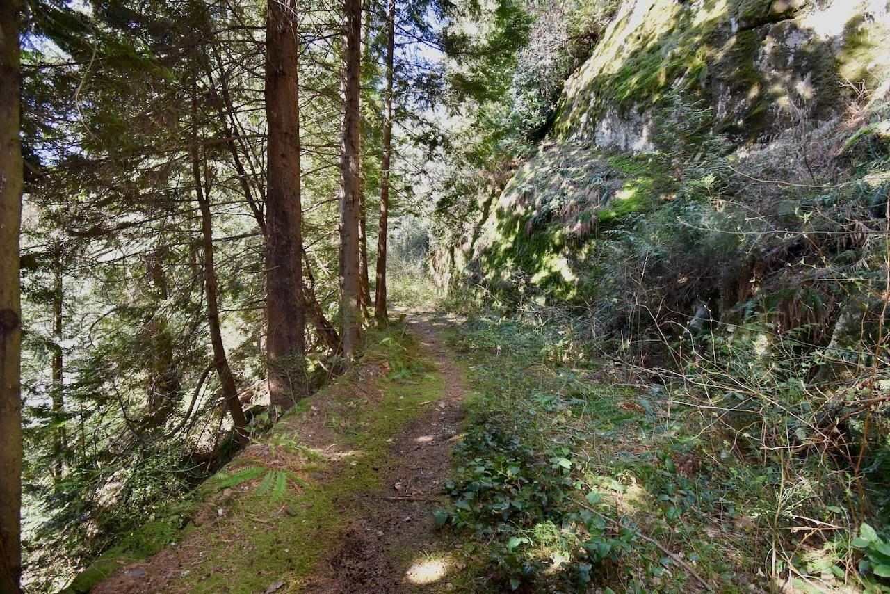 Listing Image 27