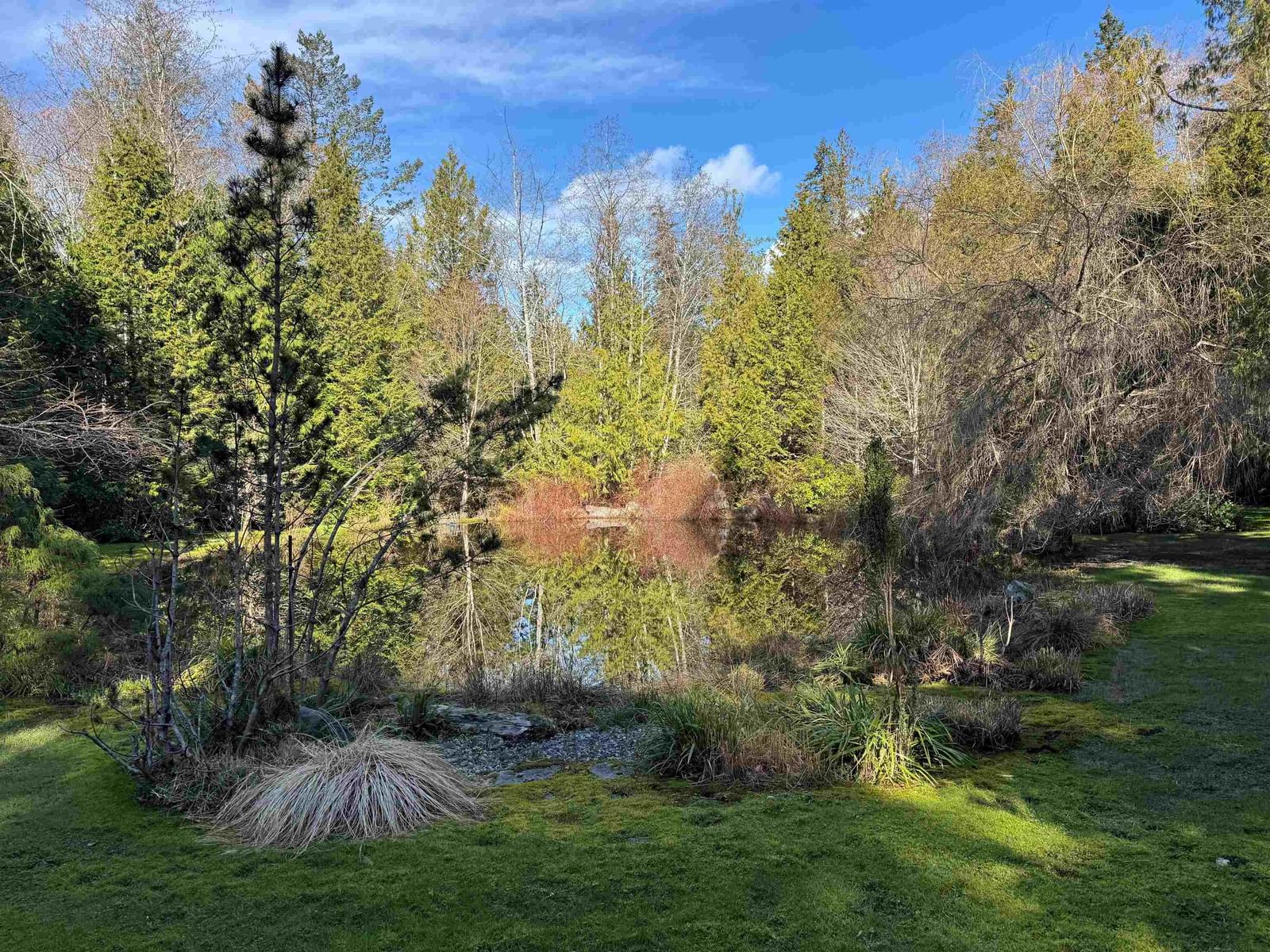 Listing Image 38