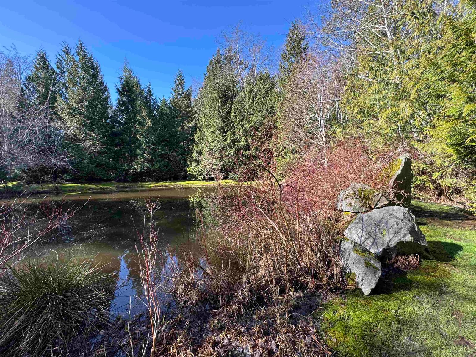 Listing Image 39